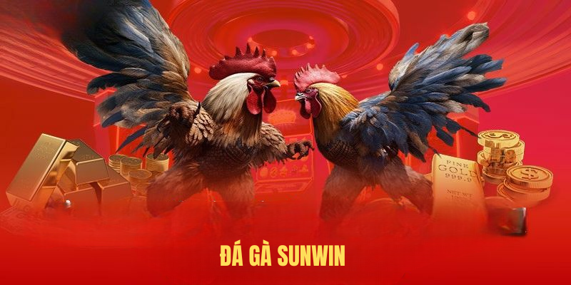 Đá Gà SUNWIN